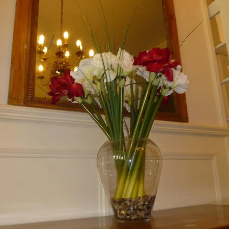 Western Grand De Paris & Villard-de-Lans